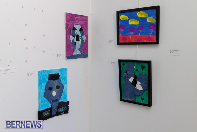 MindFrame PhotoVoice Exhibition Event Bermuda Sept 2026 (12)
