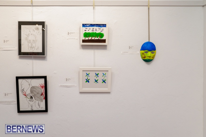 MindFrame PhotoVoice Exhibition Event Bermuda Sept 2026 (20)