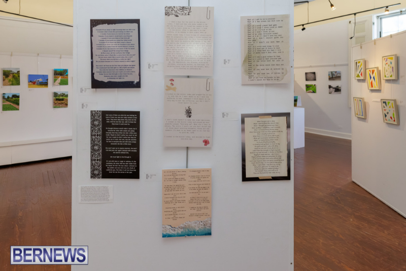 MindFrame PhotoVoice Exhibition Event Bermuda Sept 2026 (4)
