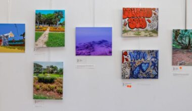 Photos & Video: "Art of Being Human" Exhibition