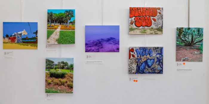 Photos & Video: "Art of Being Human" Exhibition