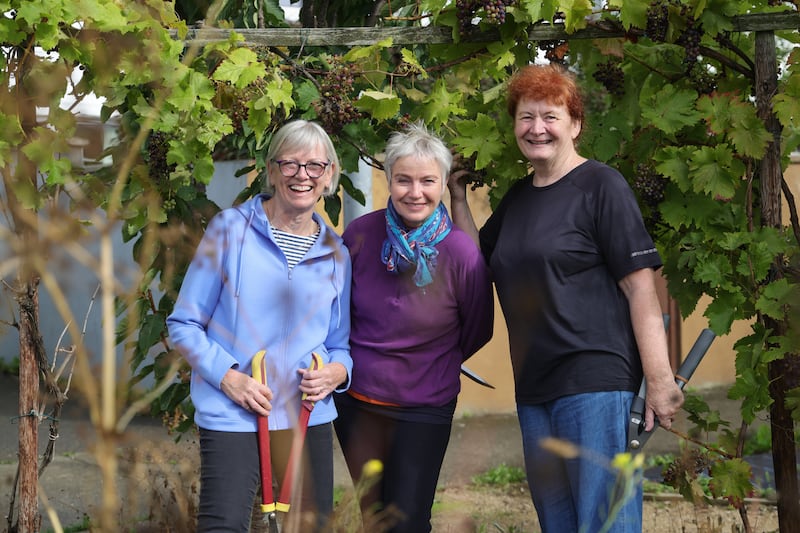 Bayside Community Orchard in north Co Dublin, shortlisted in Ireland’s Greenest Suburb. Some of those involved (from left) Catherine Whelan, Noeleen McAdden and Eileen O’Connor. Photograph: Bryan O’Brien