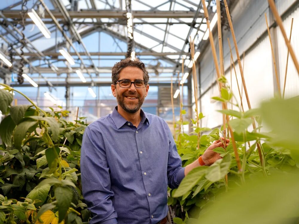 Spearhead Bio raises funds for faster gene-editing tech