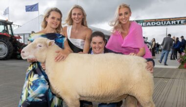 Rain and sunshine expected this week with mixed conditions in store for National Ploughing Championships – The Irish Times