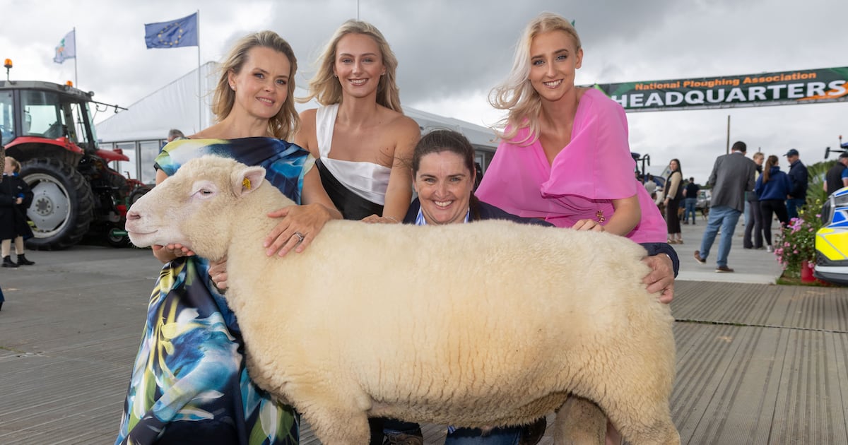 Rain and sunshine expected this week with mixed conditions in store for National Ploughing Championships – The Irish Times