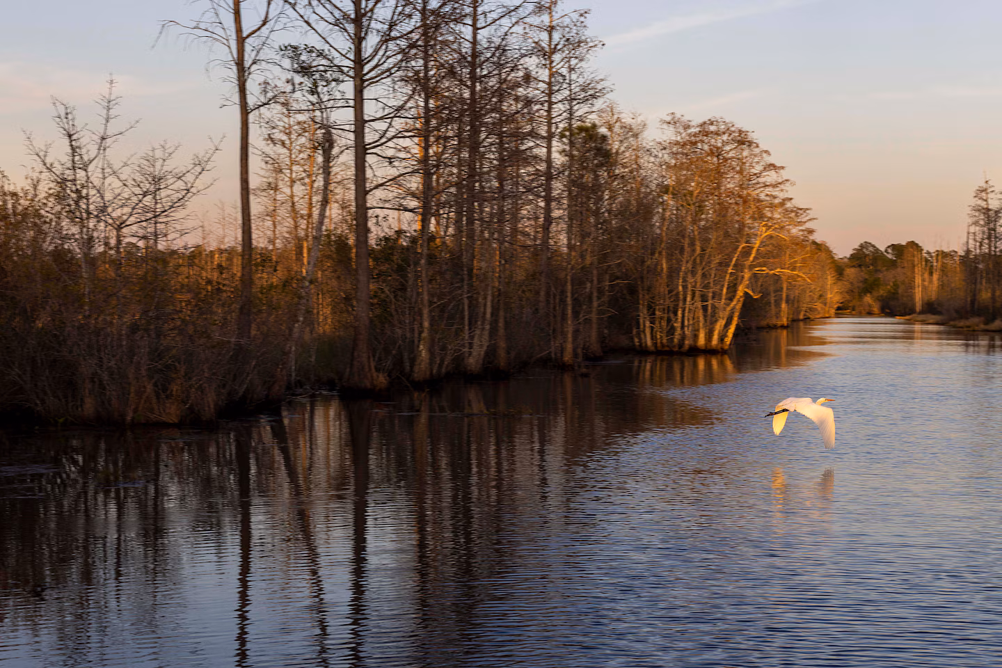 Opinion | Protecting nature is possible through innovative financing