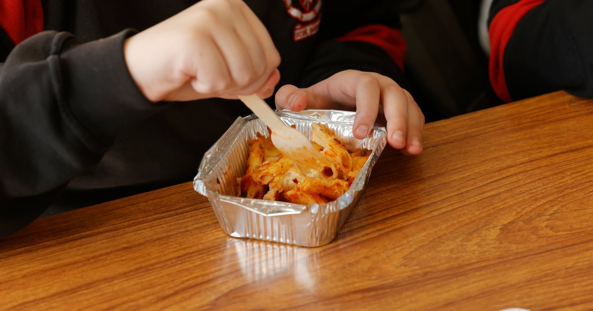 Hot school meals scheme to be overhauled after reports find poor quality and high waste – The Irish Times