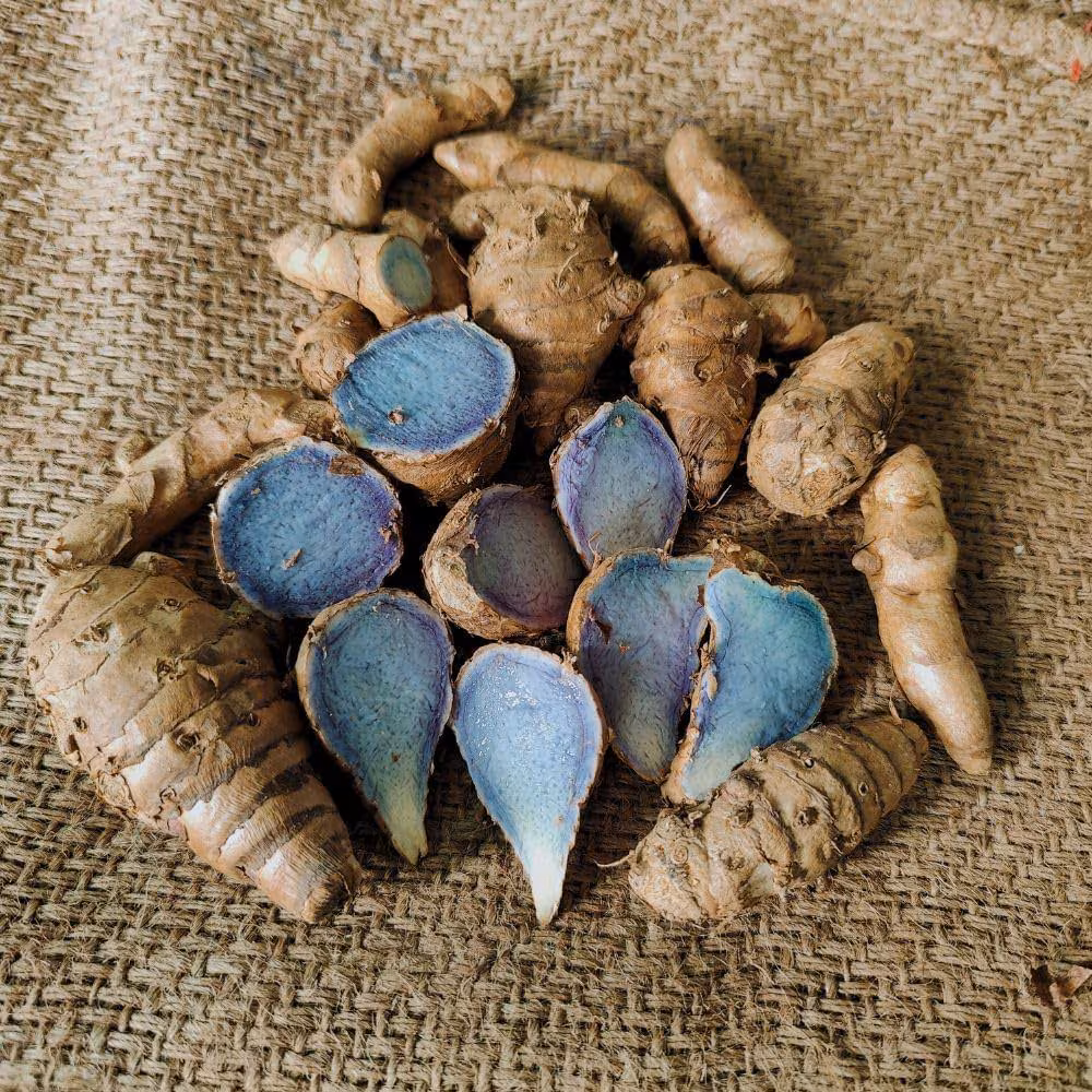 Black Turmeric and Musli: Referring to Ramlotan Kushwaha of Madhya Pradesh, PM Modi spoke about some very rare herbs. It included black turmeric, white musli, and black musli. Black turmeric is different from common yellow turmeric and is used to relieve even chronic pain and inflammation. White and black musli are considered powerful remedies in Ayurveda for alleviating weakness and increasing physical stamina. (Image: Amazon) Black Turmeric and Musli: Referring to Ramlotan Kushwaha of Madhya Pradesh, PM Modi spoke about some very rare herbs. It included black turmeric, white musli, and black musli. Black turmeric is different from common yellow turmeric and is used to relieve even chronic pain and inflammation. White and black musli are considered powerful remedies in Ayurveda for alleviating weakness and increasing physical stamina. (Image: Amazon)