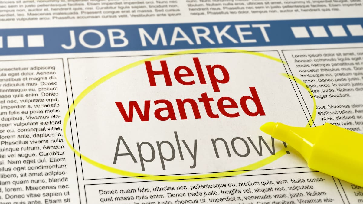 Inside the Bay of Plenty’s unemployment rate: Lower than last quarter, higher than national average