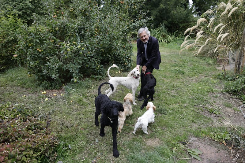 Sebastian Barry with his dogs. Photograph: Nick Bradshaw
