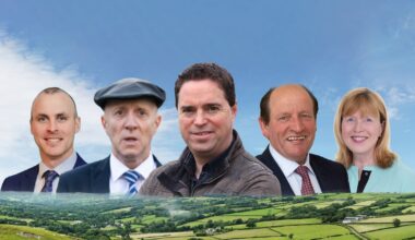The Oireachtas farmers: who are the largest landowners in Leinster House? – The Irish Times