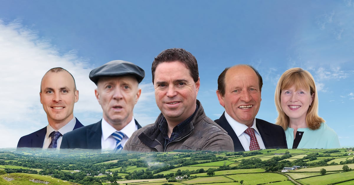 The Oireachtas farmers: who are the largest landowners in Leinster House? – The Irish Times
