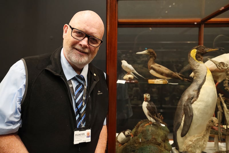 Derek Flynn, visitor services and security officer at the National Museum of Ireland Collins Barracks, with 'Dead Zoo' exhibits. Photograph: Alan Betson/The Irish Times