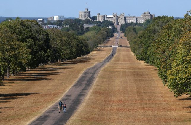 People walk along parched parkland after Britain's Environment agency declared over 70% of England to be in drought, in Windsor Great Park near Windsor Castle, Windsor, Britain, August 25, 2026. REUTERS/Toby Melville