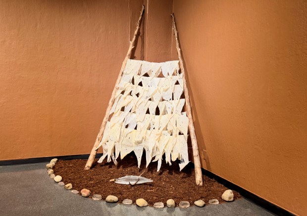 "Mexiote," an piece by artist Viviana Paredes made with organic materials include skin from the agave plant, is on display as part of "Poetic Utterances," an exhibition of Paredes' work at MACLA, 510 S. First St., in downtown San Jose through Nov. 15, 2026. (Sal Pizarro/Bay Area News Group)