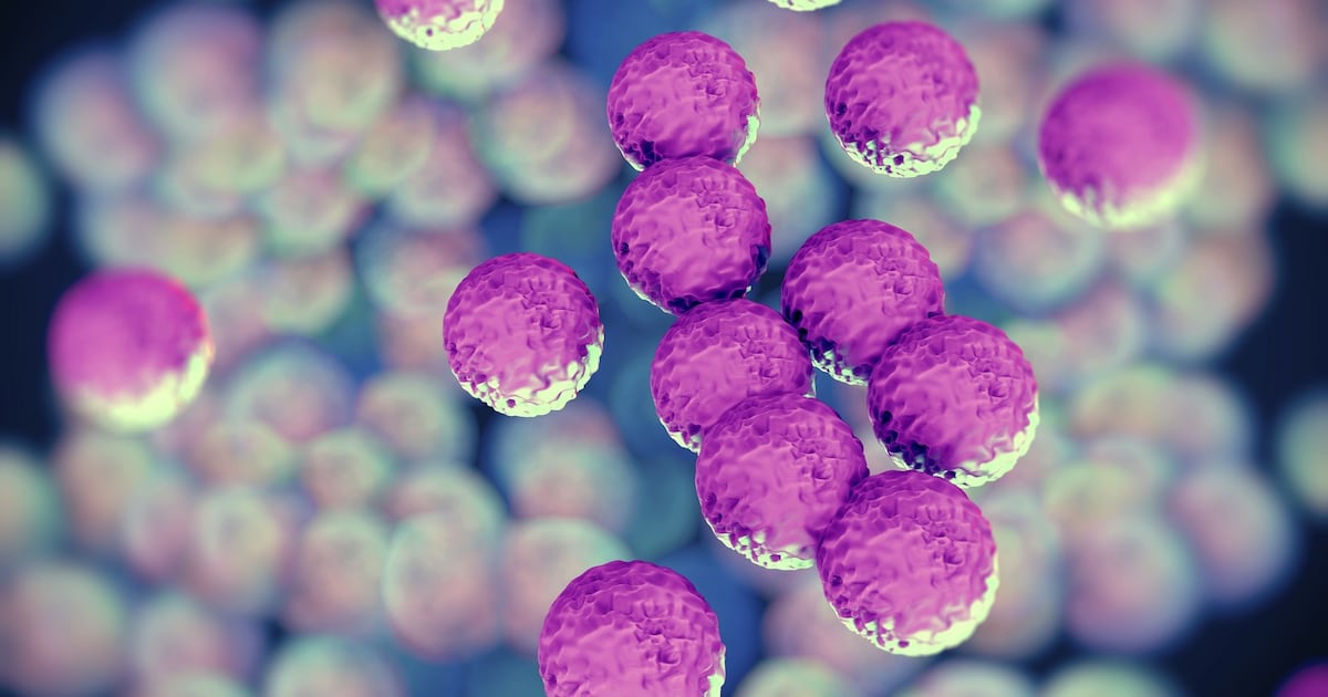 Bouncy castle play linked to largest outbreak of common superbug in Ireland – The Irish Times