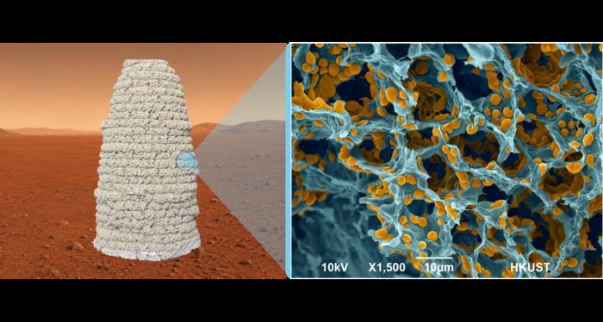 a visualization showing a possible yeast habitat that looks like a conical structure on Mars. On the right, a close up of the material's structure in a microscopic view.