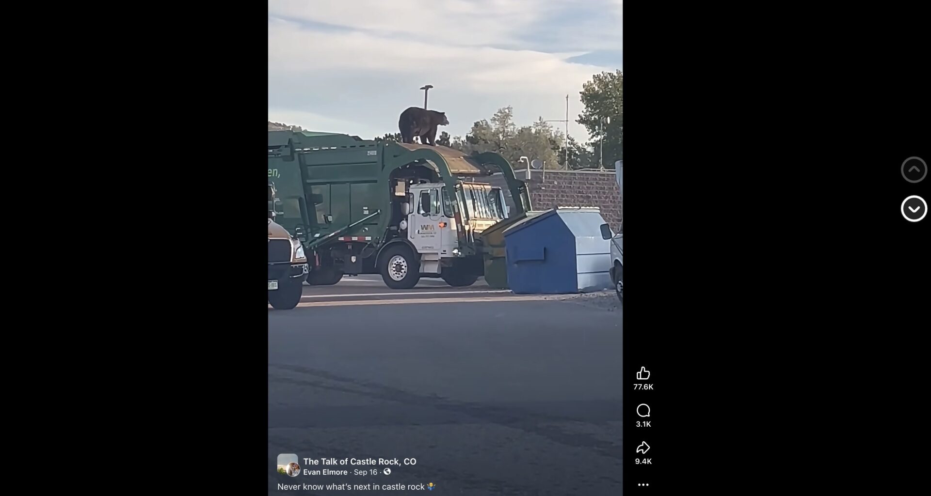 Bear scooped up by garbage truck south of Denver