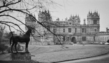 It was once home to Batman, but now this English mansion is plagued by real bats – The Irish Times