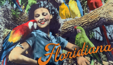 Orlando Museum of Art to feature beloved book illustrations, vintage Florida tourism art, and conservation photography