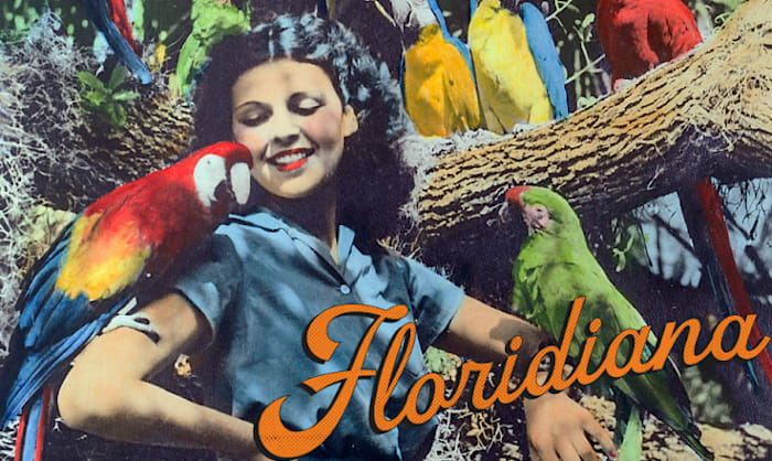 Orlando Museum of Art to feature beloved book illustrations, vintage Florida tourism art, and conservation photography