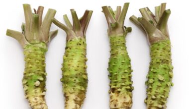 Exploring hexaraphane’s brain health potential with Dr. Wasabi
