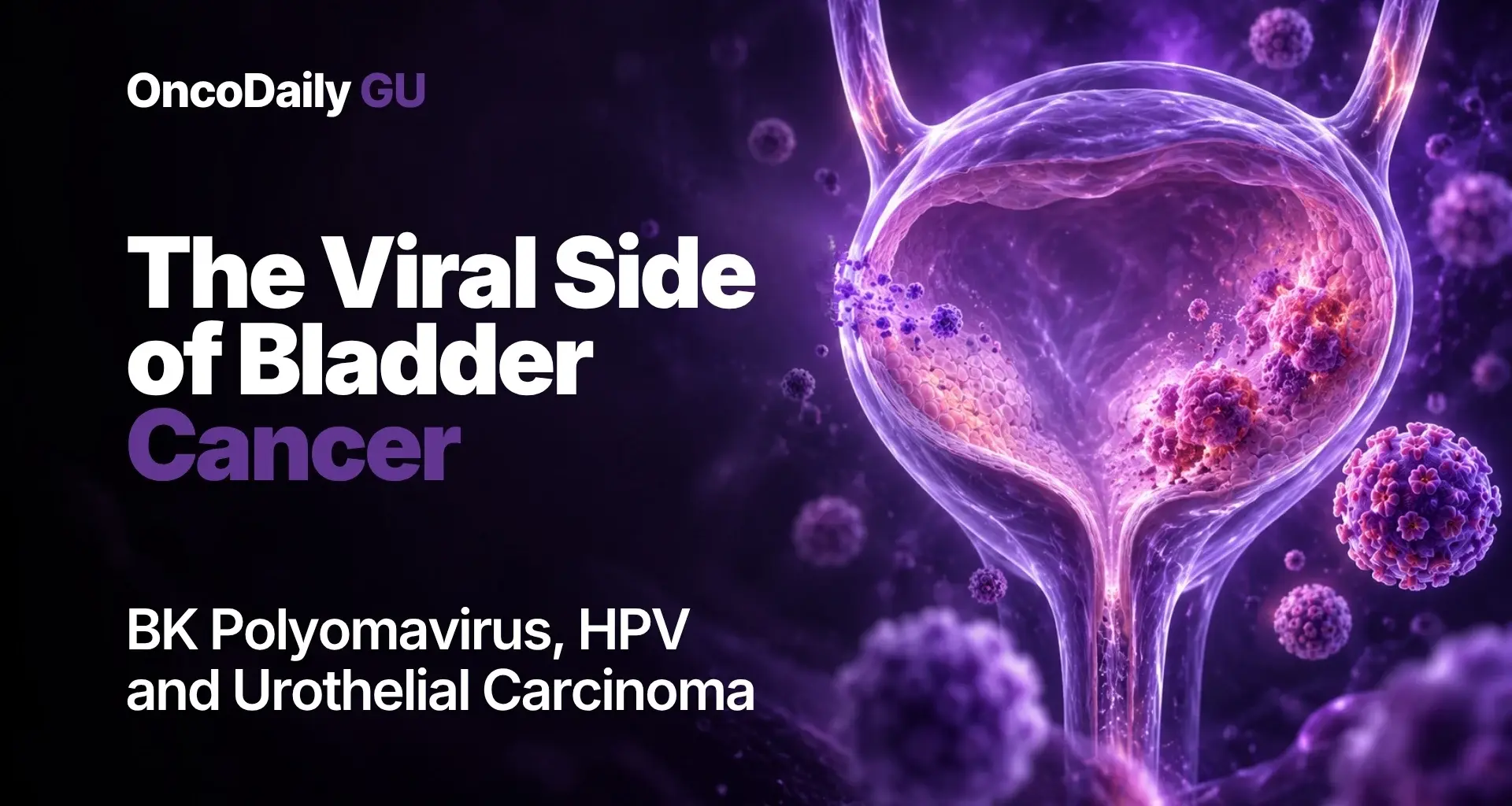 The Viral Side of Bladder Cancer: BK Polyomavirus, HPV, and Urothelial Carcinoma