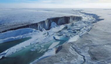 This Lake In Canada Has Vanished After Thousands Of Years, And Scientists Say It’s Not Coming Back