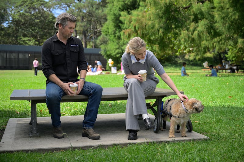 Gordon (Patrick Bramall) and Ashley (Harriet Dyer) with Colin (the dog) in Colin From Accounts