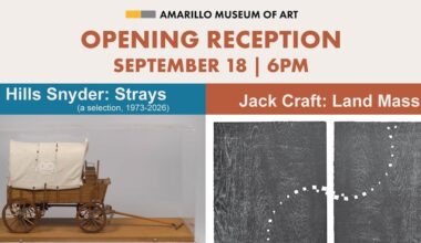 Amarillo Museum of Art to host opening reception Hills Snyder’s ‘Strays’ this month