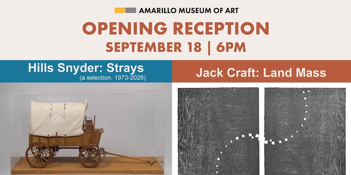Amarillo Museum of Art to host opening reception Hills Snyder’s ‘Strays’ this month