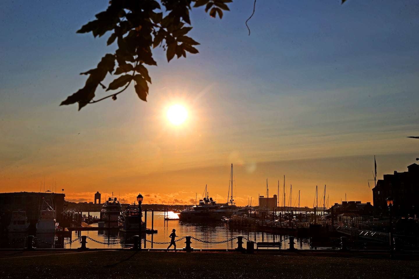 Morning sun at Christopher Columbus Waterfront Park in Boston.