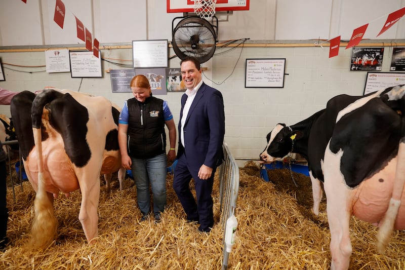 Based on average prices in Kildare and Laois, Martin Heydon’s land could have been worth between about €2.2 million and €4.55 million in 2025 depending on the quality of the land. Photograph: Alan Betson/The Irish Times