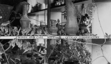 Windy & Carl / Optigan Conservatory: Windy & Carl Meet Optigan Conservatory Album Review