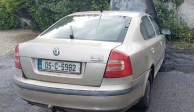 Gardaí seeking driver or occupants of Skoda Octavia about fatal hit and run – The Irish Times