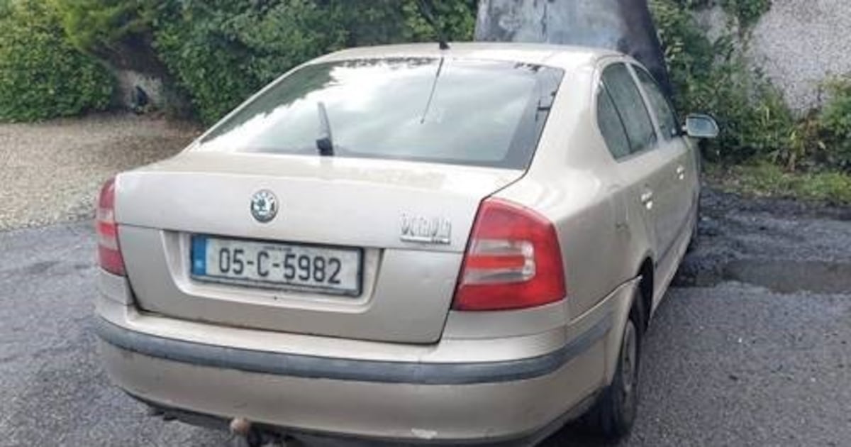 Gardaí seeking driver or occupants of Skoda Octavia about fatal hit and run – The Irish Times