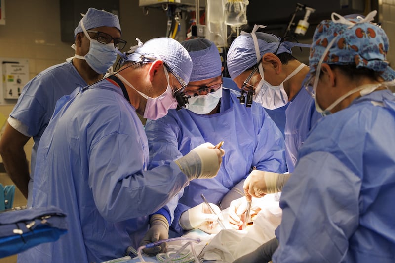 Researchers said no pig viruses or other pig pathogens were detected at any point