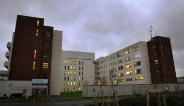 Two further arrests after fatal violent incident in Leopardstown – The Irish Times