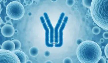 Y Chromosome Loss May Signal Early Cancer Risk