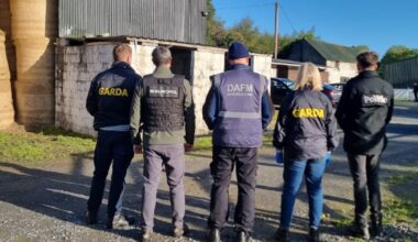 Horse-trafficking investigation spans several counties amid fears food chain compromised – The Irish Times