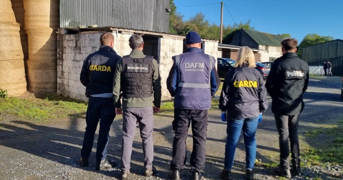 Horse-trafficking investigation spans several counties amid fears food chain compromised – The Irish Times