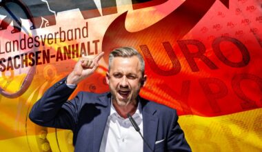 Mass deportations, euro exit and Russian gas: the AfD’s plan for power – The Irish Times