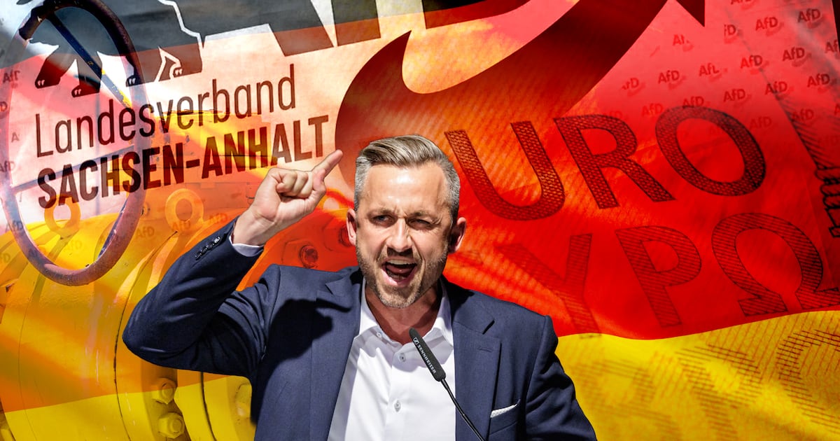 Mass deportations, euro exit and Russian gas: the AfD’s plan for power – The Irish Times