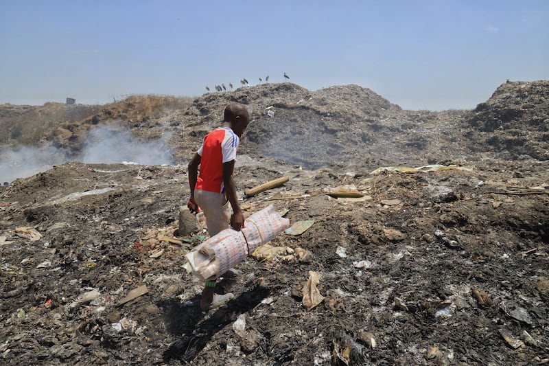 Casey spends most afternoons foraging through waste after finishing classes at a local primary school. Photograph: Hannah McCarthy