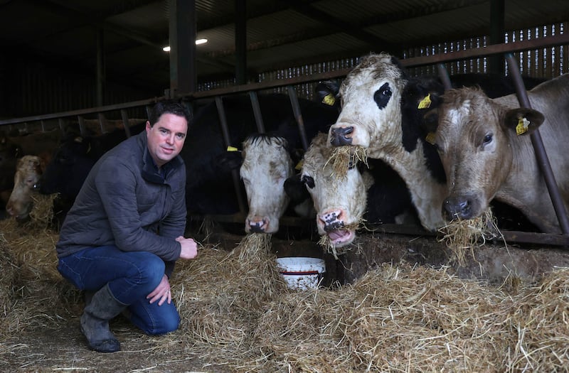 Martin Heydon with cattle on his farm in Blackrath, Kilcullen, Co Kildare in 2022. Photograph: Damien Eagers