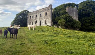 Building tycoon Maurice Regan buys Meath castle that was former home of Duke of Wellington – The Irish Times