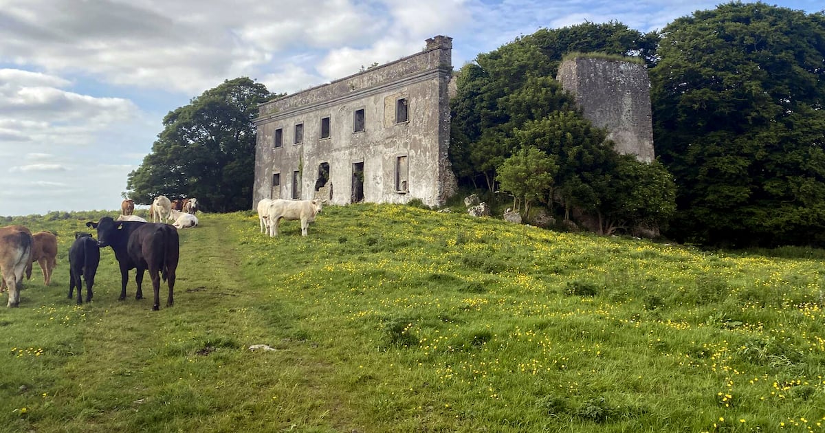 Building tycoon Maurice Regan buys Meath castle that was former home of Duke of Wellington – The Irish Times