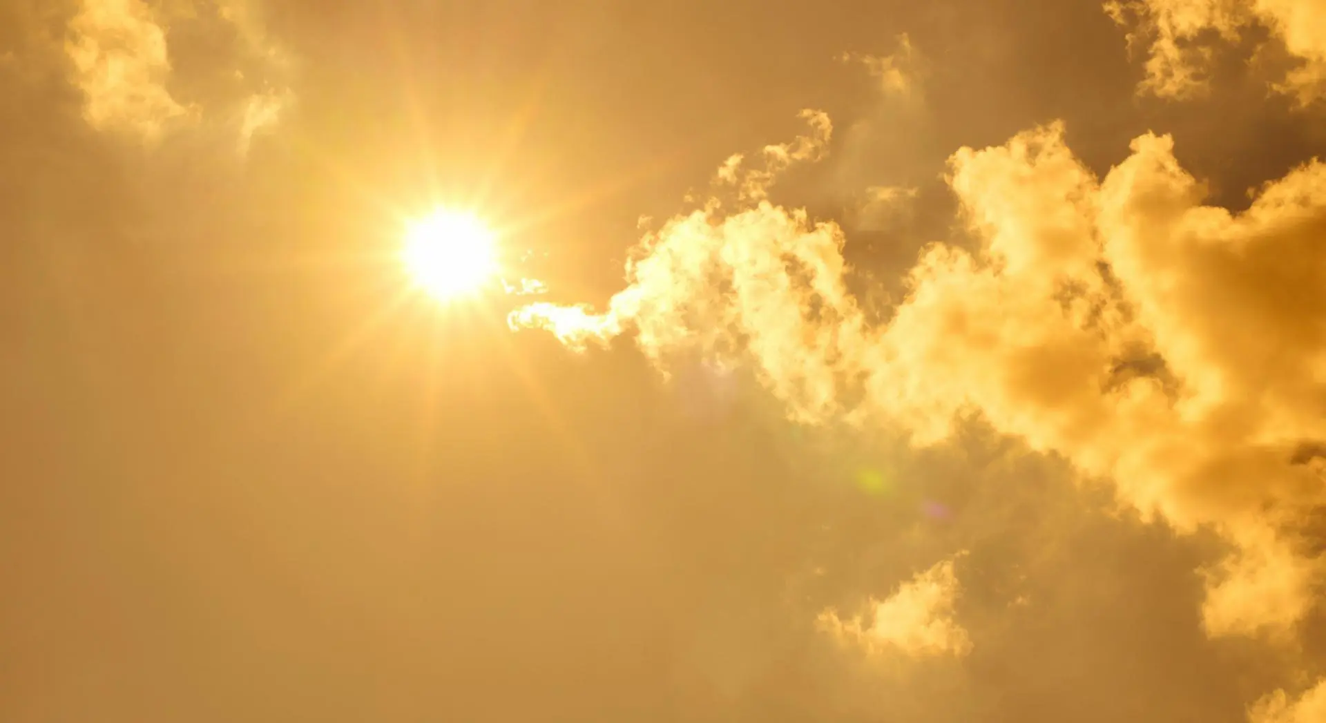 Here is the real culprit behind the 739 deaths during the Chicago heatwave
