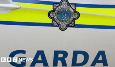 Limerick: Two-year-old boy dies after hit-and-run - BBC
