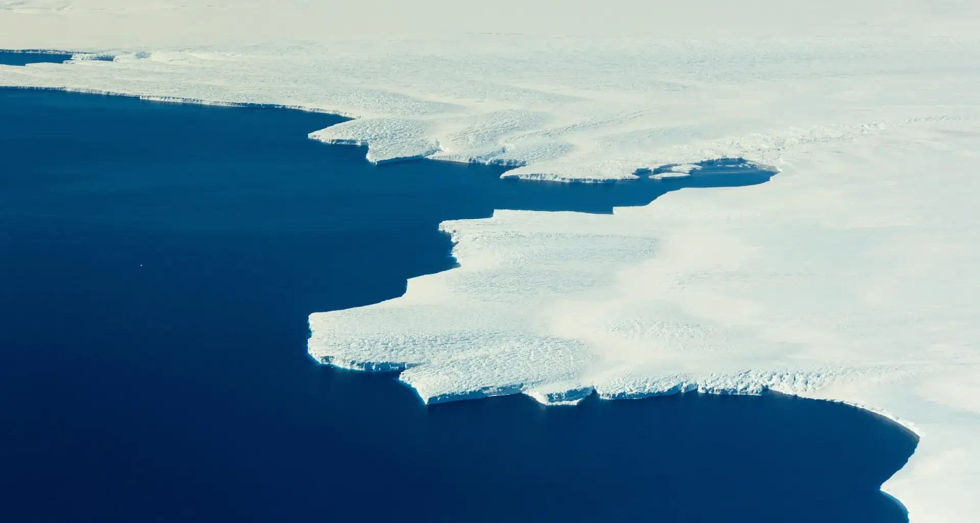 Antarctica gained a record 695 billion tons of ice. Scientists found the surprising reason